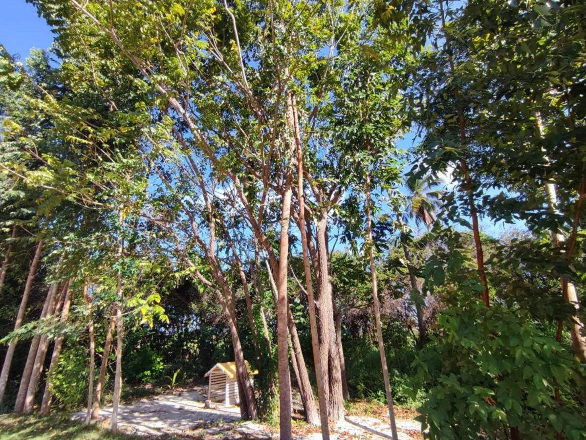 Casa Nova 2 Villa São José da Coroa Grande Kültér fotó